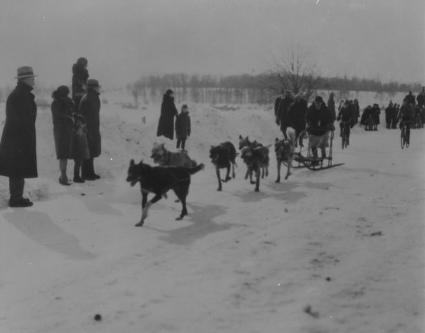 Az olimpiai bajnok Emile St. Godard és a fogata egy 1930-as ottawai versenyen (Fotók: sportshall.ca, todayinottawashistory)