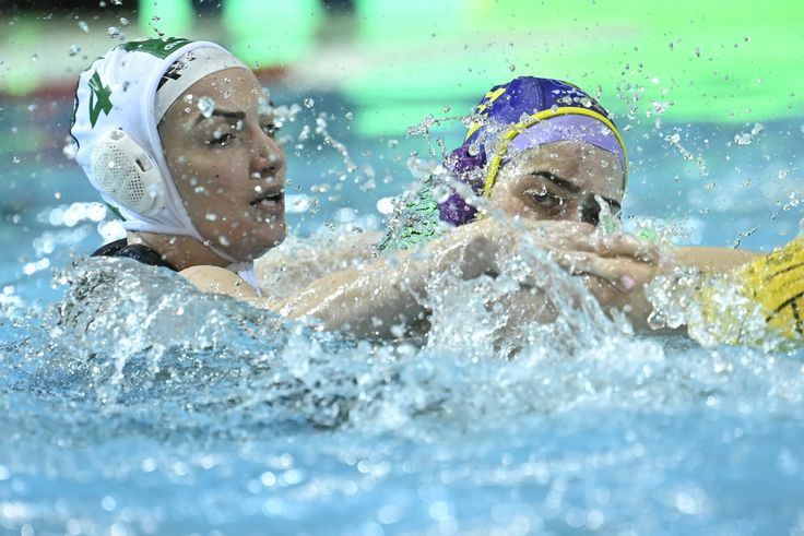 A Ferencvárosé a bronzérem