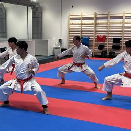Minden kategóriában indul magyar a karate Eb-n