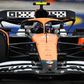 A pályára berohanó varánusz zavart keltett, de Lando Norris újabb körrekordot ment Szingapúrban