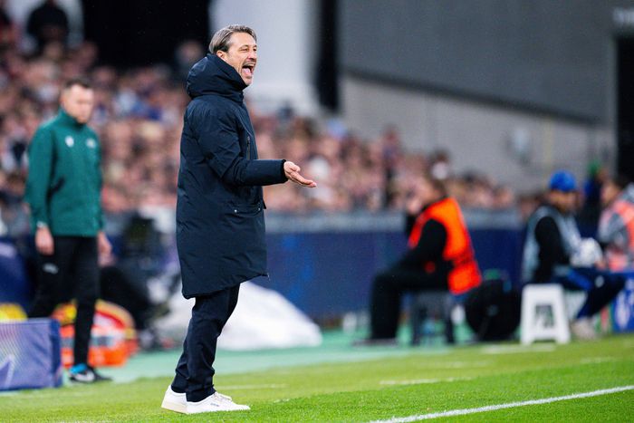 Niko Kovac megvédte Jobe Bellinghamet