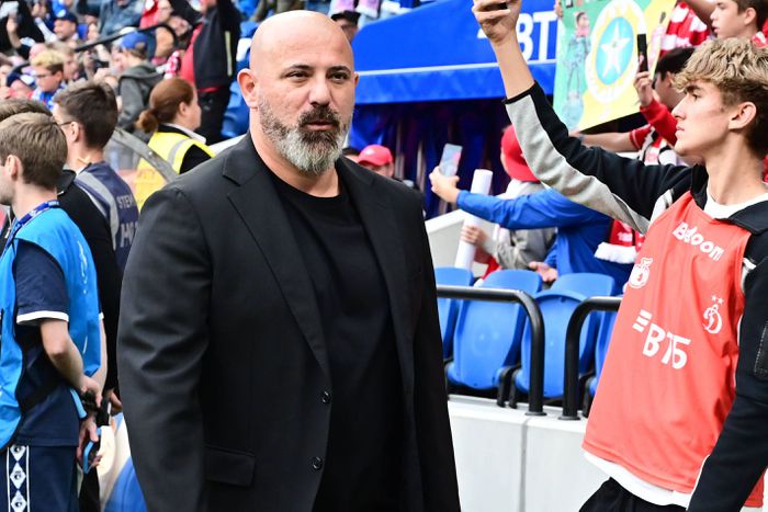 Dejan Sztankovics szövetségi kapitány lehet