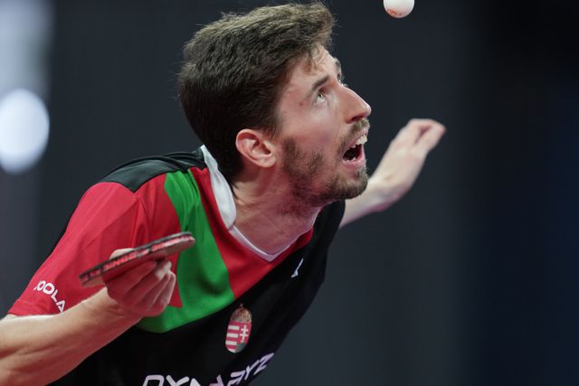 Szudi sikerrel vette a selejtező első fordulóját