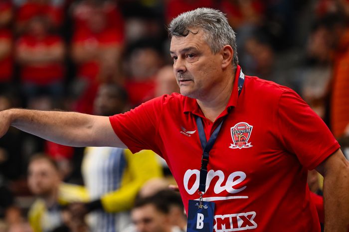 A Füchse Berlin még egy pontot sem veszített öt forduló alatt (Fotó: MTI)