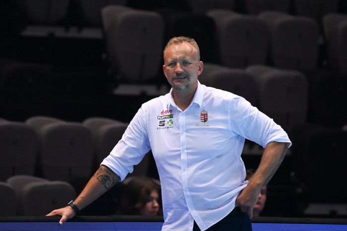 Varga Zsolt kapta az Ormai László-díjat