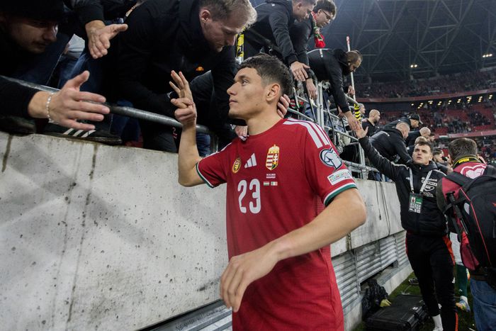 Redzic Damir bemutatkozása egy fájdalmas mérkőzésen