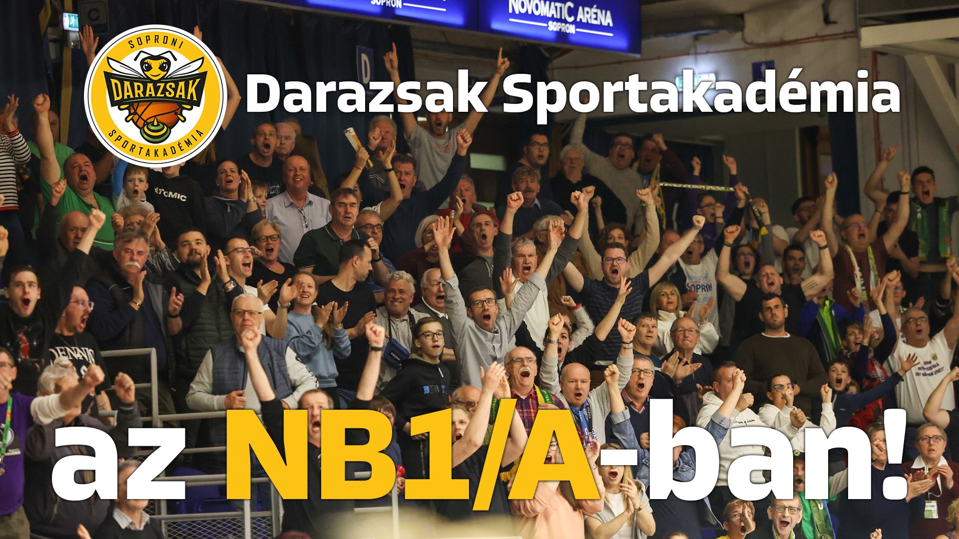 Csak U23-as játékosokkal indul a Soproni Darazsak Sportakadémia az NB I-ben