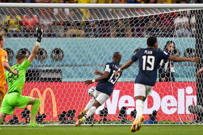 Enner Valencia egyenlített Hollandia ellen