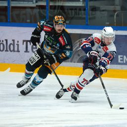 A listavezető ellen nyert nagyon fontos rangadót a Fehérvár