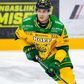 Sebők Balázsék bejutottak a finn bajnokság elődöntőjébe (Fotó: Ilves Tampere)