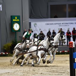 Kettős holland diadal a négyesfogathajtó Eb-n