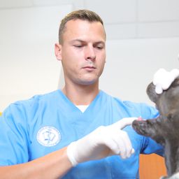 Baji Balázs felhagyott a praktizálással a vébé miatt