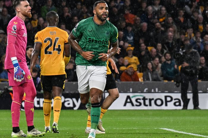 Hiába Callum Wilson duplája, a Newcastle nem tudott nyerni a Molineux-ben