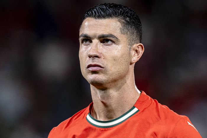 Újabb vállalkozást nyit