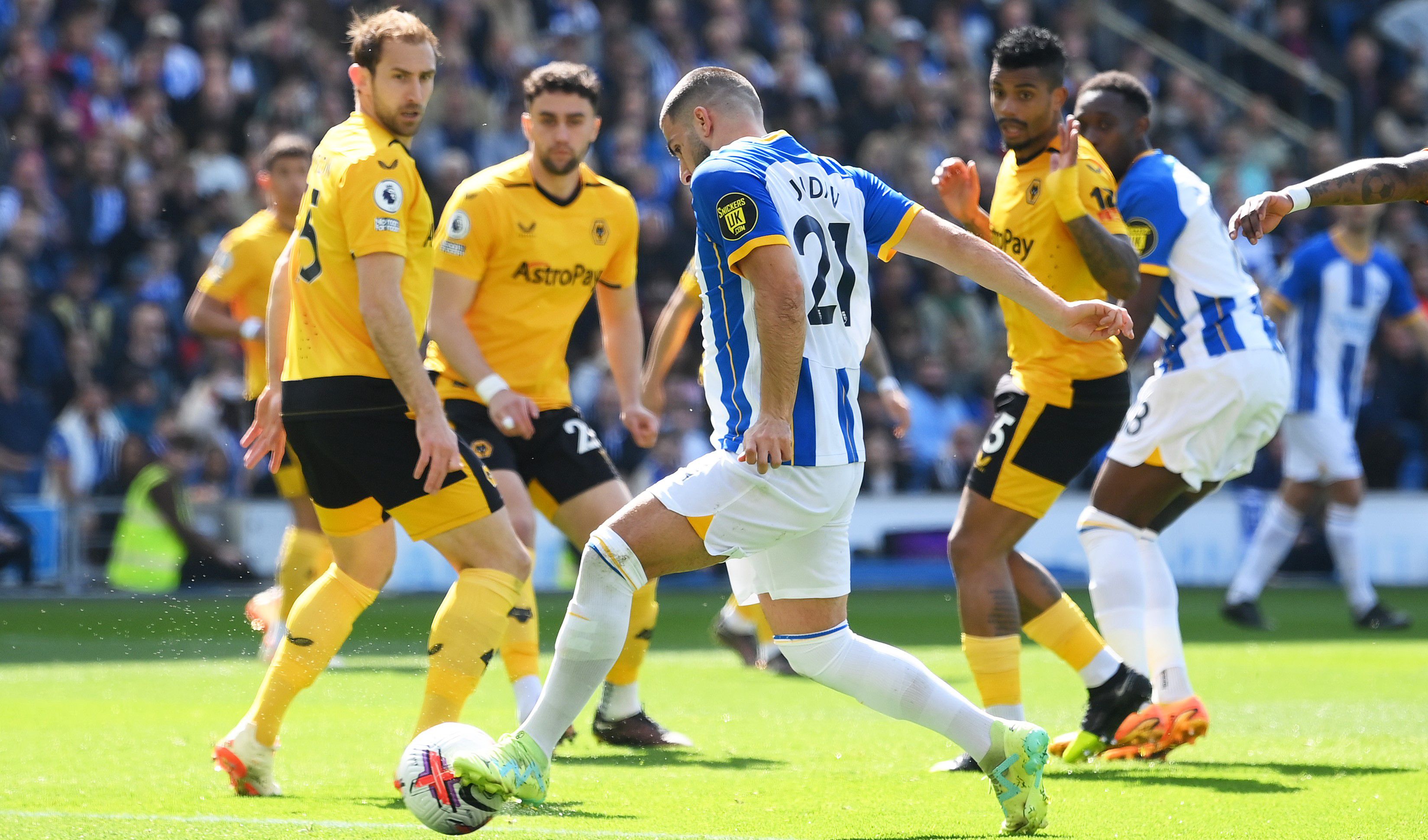 A Wolverhampton játékosok csak közelről figyelték a Brighton elleni mérkőzést (Fotó: Getty Images)