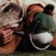 Lewis Hamilton elvesztette szeretett kutyáját