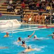 Vízilabda BL-selejtező: Győzött a vírus és az olaszok; Faragó Tamás tudósította a Sportált – videóval