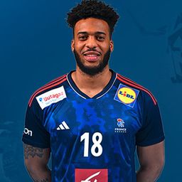 Francia válogatott beállóval erősít a Szeged