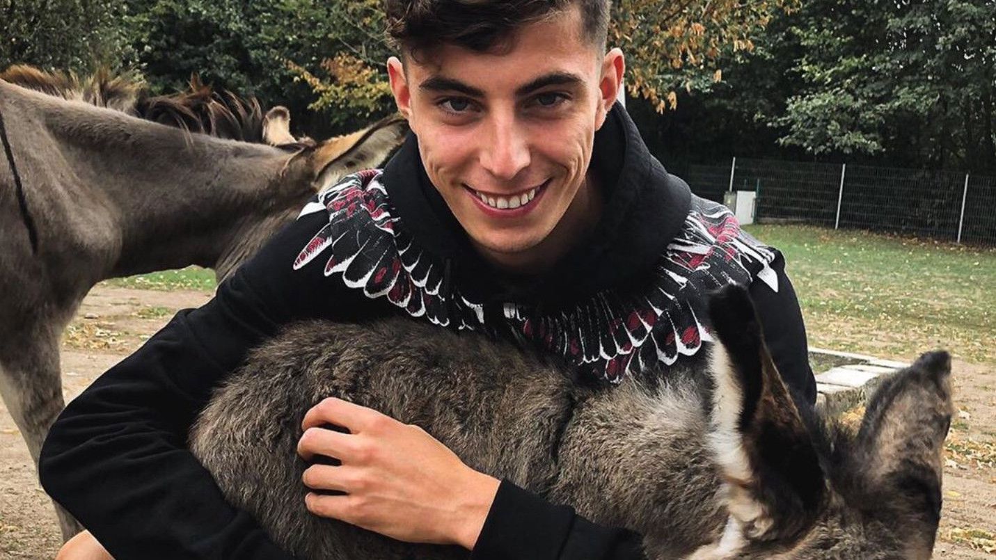 Kai Havertz a vereségek után meglátogatja a szamarait / Fotó: Facebook