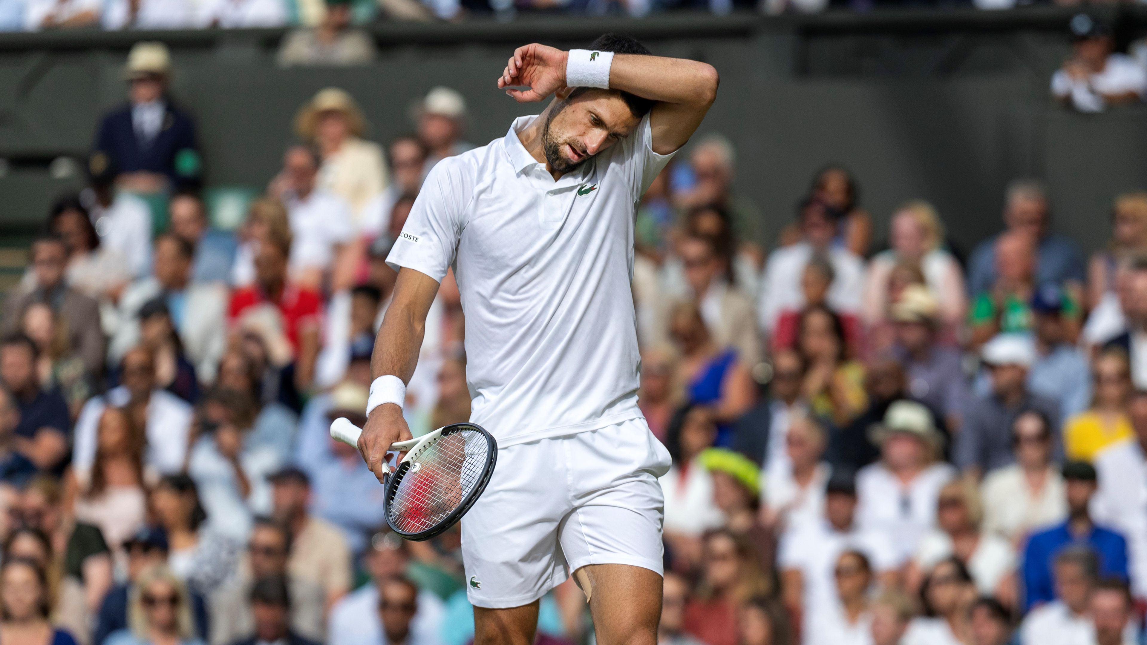 Novak Djokovics csúcsformában játszik idén is, de már téma a lehetséges visszavonulása /Fotó: Getty Images