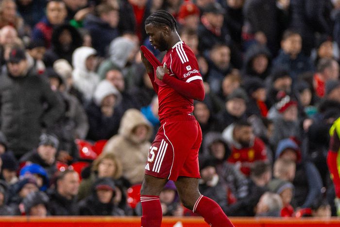 Nallo felnőtt karrierje nem indult zökkenőmentesen