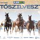 Ismét Ügetőszilveszter a Kincsem Parkban
