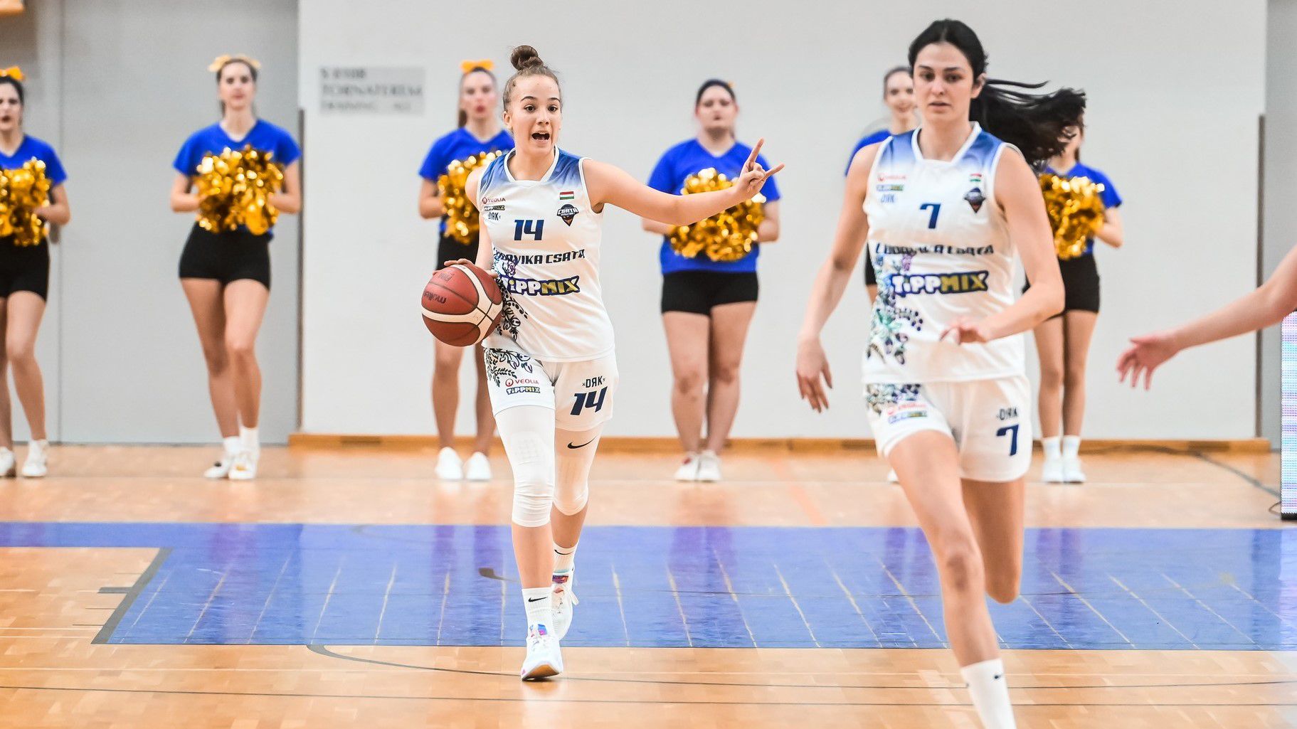 Győzött a Ludovika (Fotó: Facebook/Ludovika Csata Basketball)