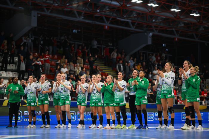 A Győr eddig hibátlan szezont fut (Fotó: Czeglédi Zsolt - MTI)