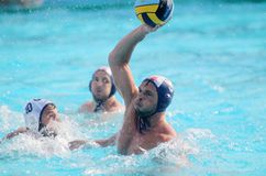 Διέλυσε την Ντουμπρόβνικ ο Ολυμπιακός