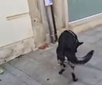 Δρακόντεια μέτρα στο Βίγκο για το Θέλτα - ΠΑΟΚ