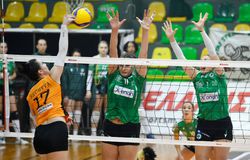 Άρης - Παναθηναϊκός στα προημιτελικά του κυπέλλου βόλεϊ γυναικών