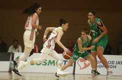 Παράπονα από τον Ερασιτέχνη Παναθηναϊκό για τη διαιτησία του τελικού με τον Ολυμπιακό: «Παίξαμε 5 εναντίον 7»