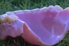 Δημοσιογράφος στη Βραζιλία χτυπήθηκε από μασέλα οπαδού (vid)