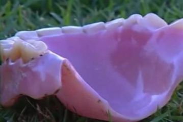 Δημοσιογράφος στη Βραζιλία χτυπήθηκε από μασέλα οπαδού (vid)