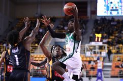 Πότε παίζουν Παναθηναϊκός AKTOR-Προμηθέας στη Stoiximan GBL