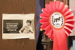 Με το άλογο του στα αποδυτήρια ο Γιόκιτς, με τον... Μπρους Λι ο Μάρεϊ