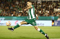 Αυτός είναι ο «αντικαταστάτης» του Κουρμπέλη