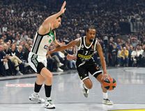 «Δεν έχω ξαναδεί κάτι τέτοιο στη ζωή μου»: Ο Βρετανός πρέσβης τρελάθηκε με την ατμόσφαιρα στο Παρτίζαν - Παναθηναϊκός AKTOR