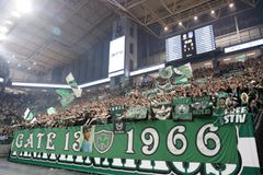 «Πράσινη» τρέλα: Το Παναθηναϊκός - Εφές έγινε sold out μέσα σε 4 ώρες!