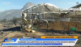 Σε εξέλιξη η φωτιά στο Λασίθι - Μάχη με τις φλόγες