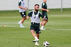 Παναθηναϊκός: Ανεβάζει ρυθμούς ο Σιώπης