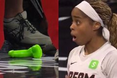 Συνελήφθη ο οπαδός για τη ρίψη sex toy στο παρκέ σε αγώνα WNBA