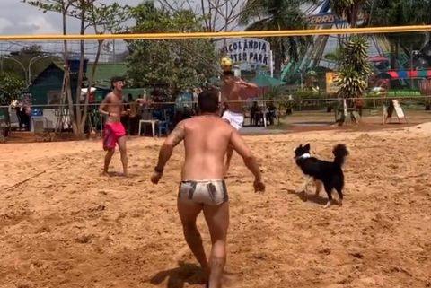 Σκύλος στη Βραζιλία έπαιξε beach volley και προκάλεσε ντελίριο! (vid)