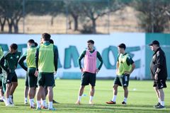 Παναθηναϊκός: Μπήκε στις προπονήσεις ο Πελίστρι