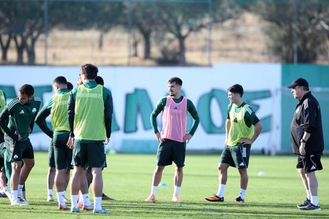 Παναθηναϊκός: Μπήκε στις προπονήσεις ο Πελίστρι