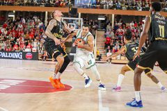 Οι φίλαθλοι του Παναθηναϊκού πρωταγωνιστούν στο «Greens on Tour | Monaco»