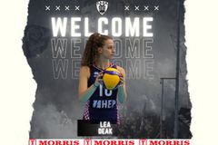 Πασαδόρος από την Κροατία στον ΠΑΟΚ