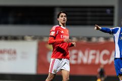 «Στο προσκήνιο για τον ΠΑΟΚ ο Ζοάο Ρέγκο της Μπενφίκα» - Ποια είναι τα δεδομένα