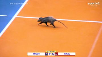  Ένα οπόσουμ σκόρπισε πανικό σε αγώνα βόλεϊ στη Βραζιλία (vid)