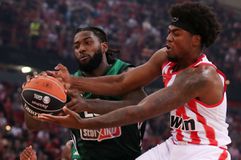 Παναθηναϊκός AKTOR και Ολυμπιακός σε παρτίδα για... δύο - Τι κάνουν τα μεγαθήρια της EuroLeague στα πρωταθλήματά τους;